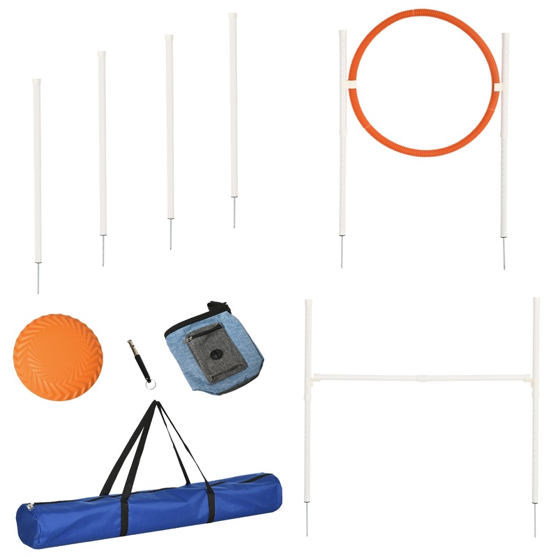 Pet Agility Training Equipment for Dogs with Carry Bag – Multicolour
