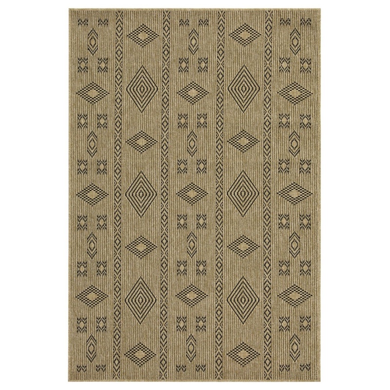 Earth – 7’10 X 10’3 Indoor, Outdoor Area Rug – Natural / Black