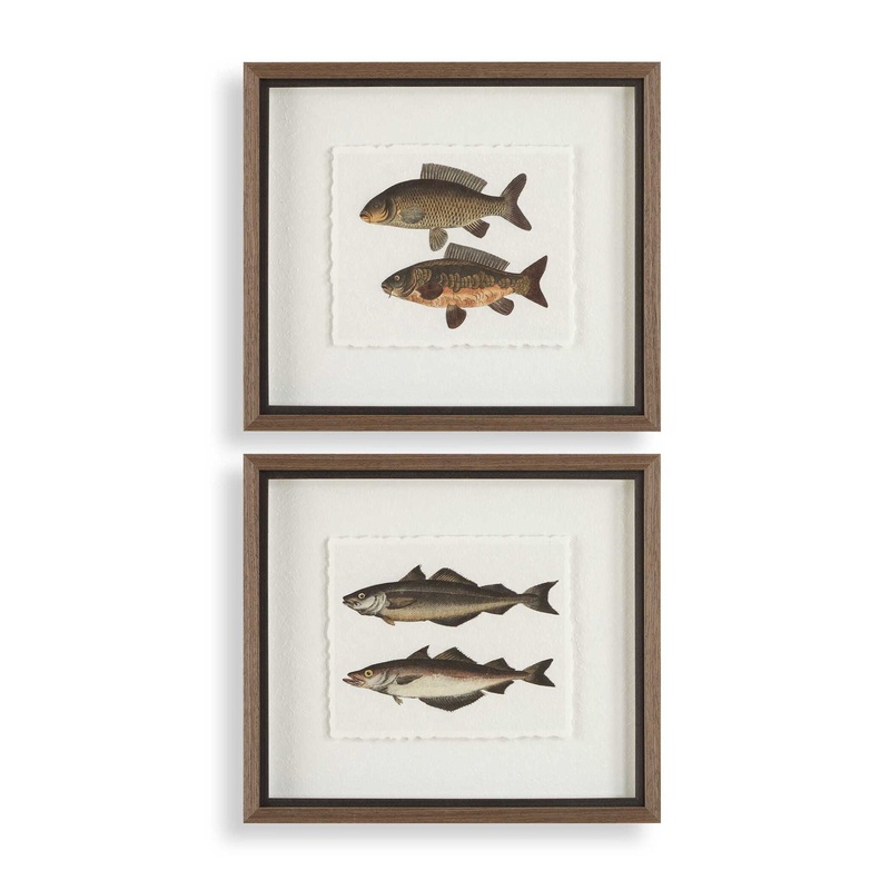 The Catch – Framed Fish Prints (Set of 2) – Black / Brown / Gray / Green / Orange / Woodtone