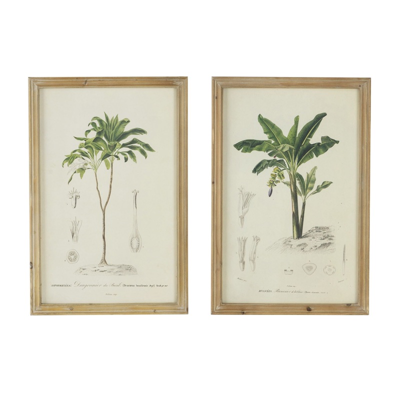 Tree Framed Print (Set of 2) – Multicolor