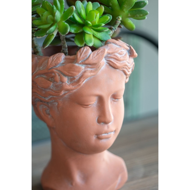 D6X9 Visage Head Bust Planter – Brown