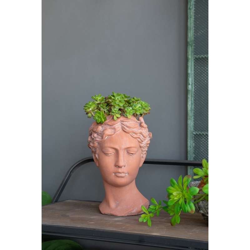 D7X11 Visage Head Bust Planter – Brown