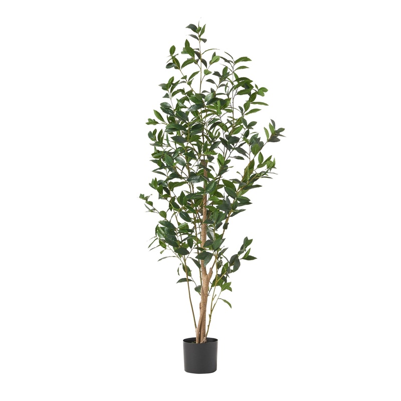 Artificial Laurel Tree|Green|24″W x 29″D x 64″H|33.5″W x 25.5″D x 78.5″H