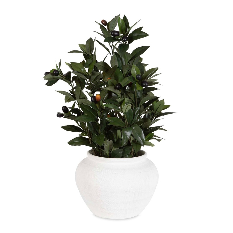 Elena Olive – Centerpiece – White