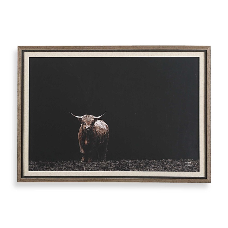 King Of The Hill – Framed Bovine Print – Black