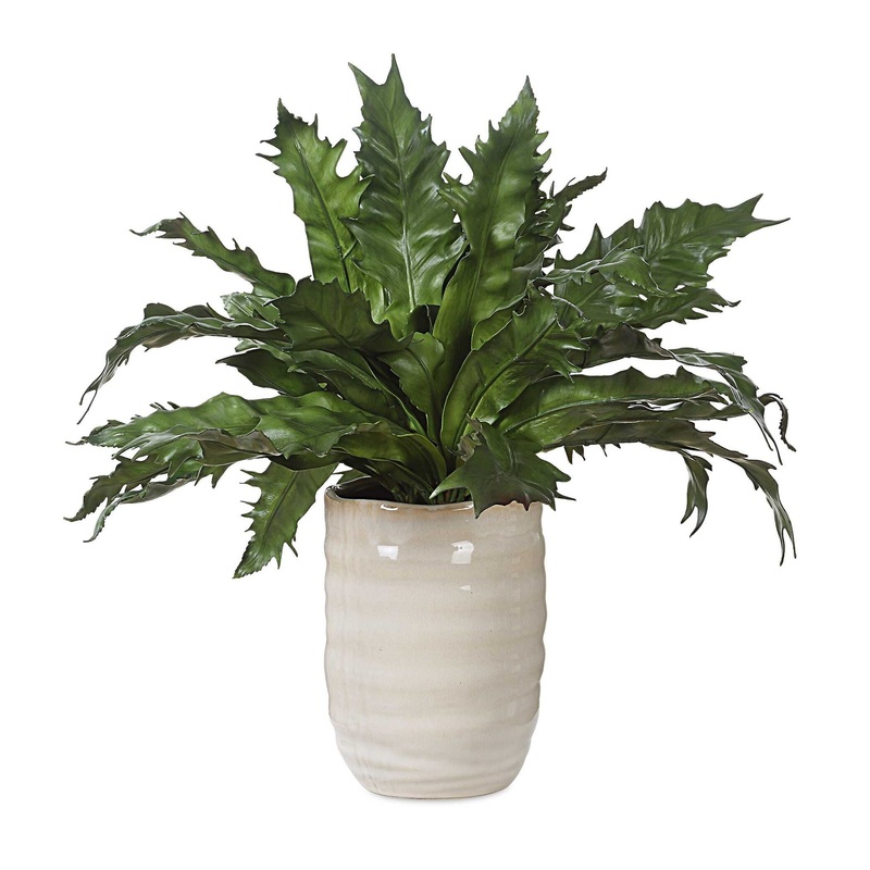 Verdure Fern – In Glazed Pot – White