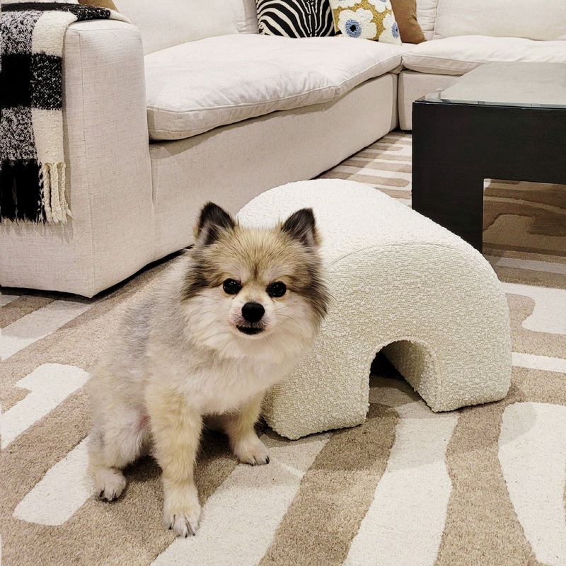 Bridge – Arched Upholstered Footstool Ottoman